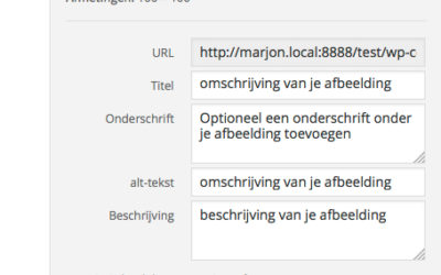 Handleiding: SEO afbeeldingen optimaliseren