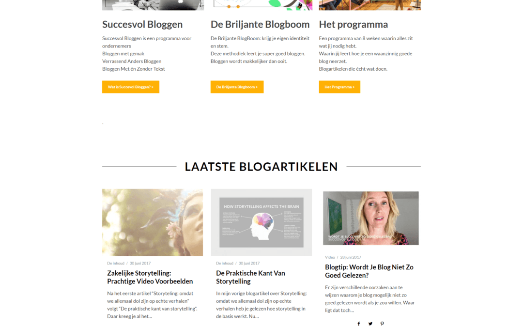 Succesvol Bloggen